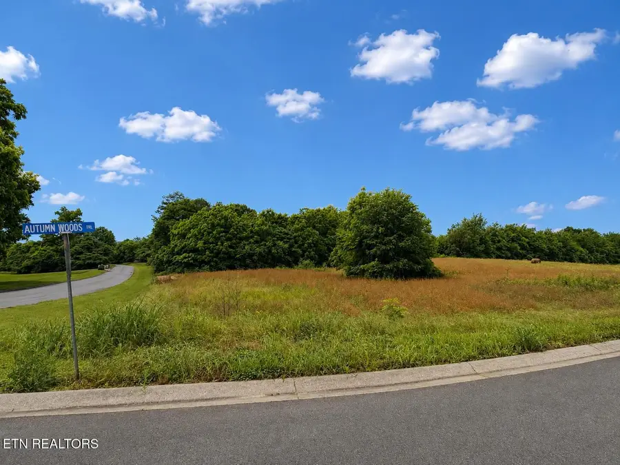 0 Autumn Woods Tr, Sweetwater, TN 37874 - #3