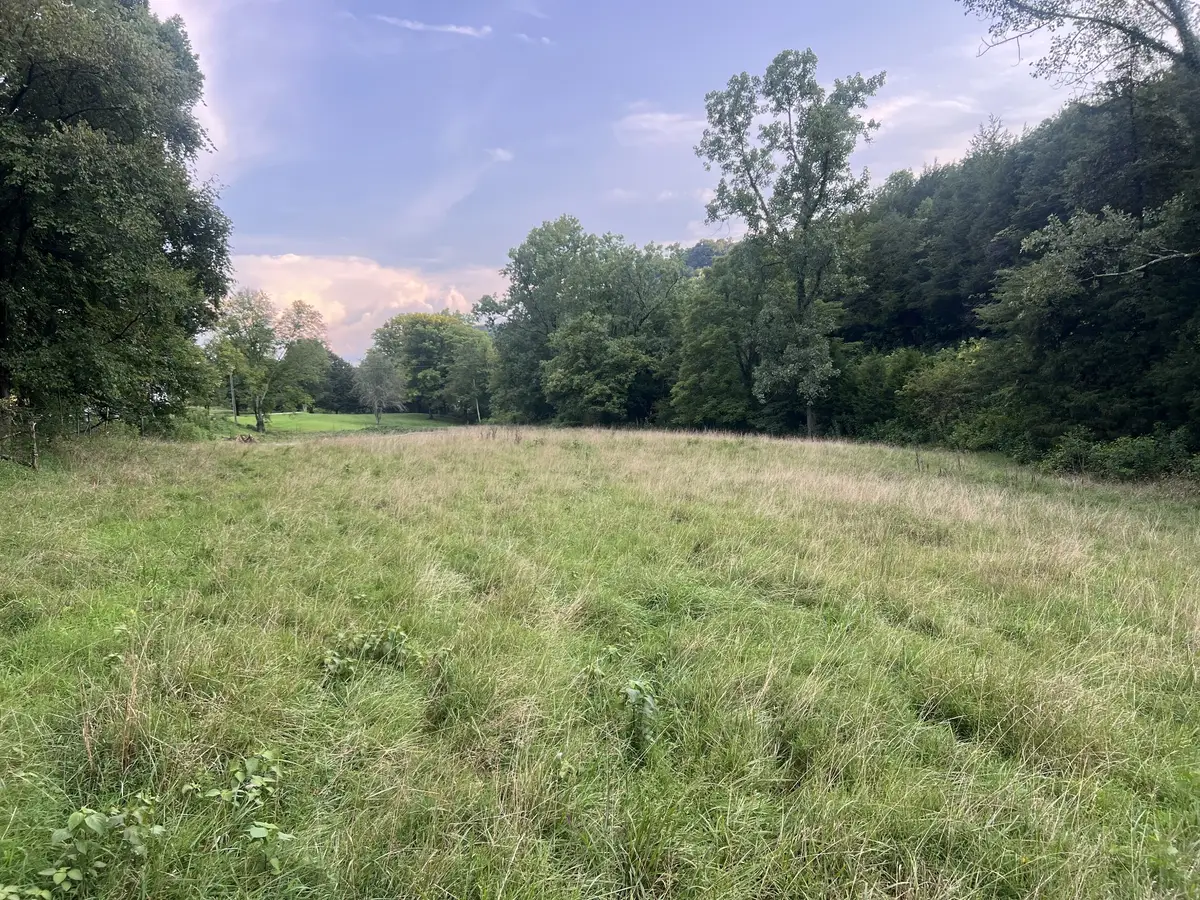 0 Club Springs Rd Off 263, Elmwood, TN 38560 - #1