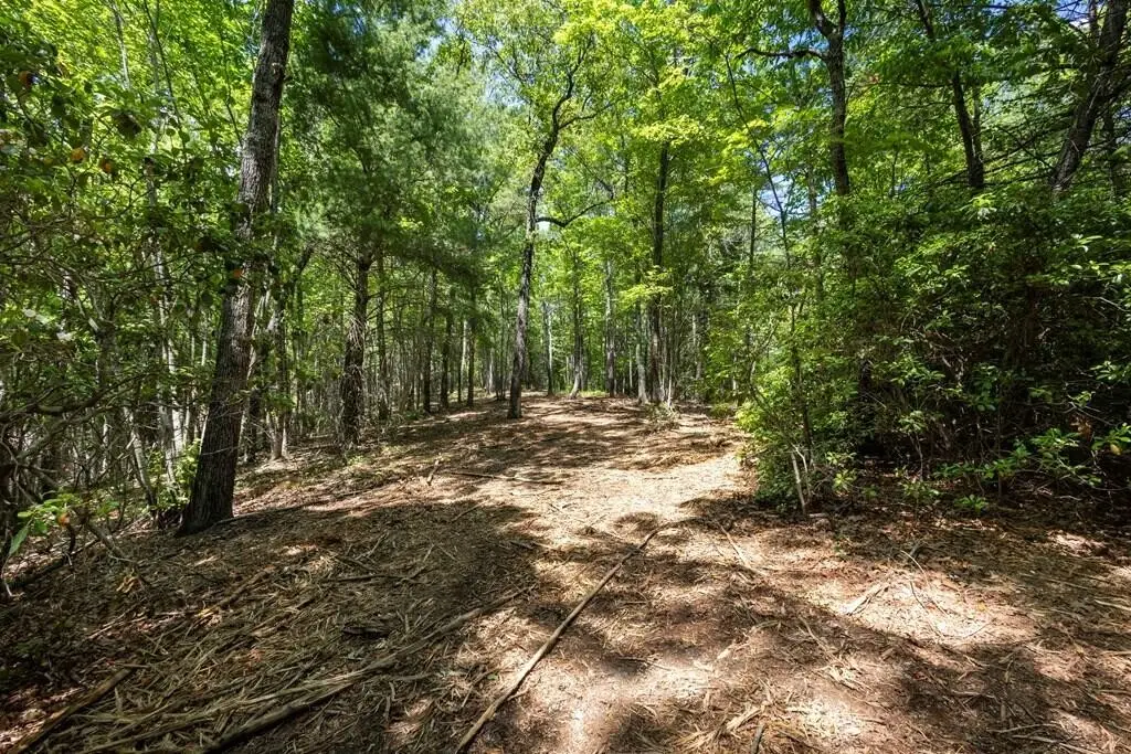 43 Donley Road, Murphy, NC 28906 - #1