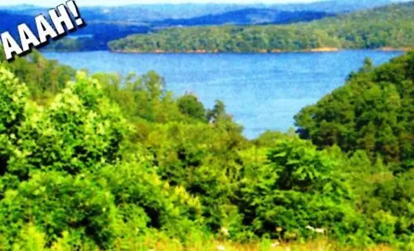 406 Flint Ridge Road, Harriman, TN 37748