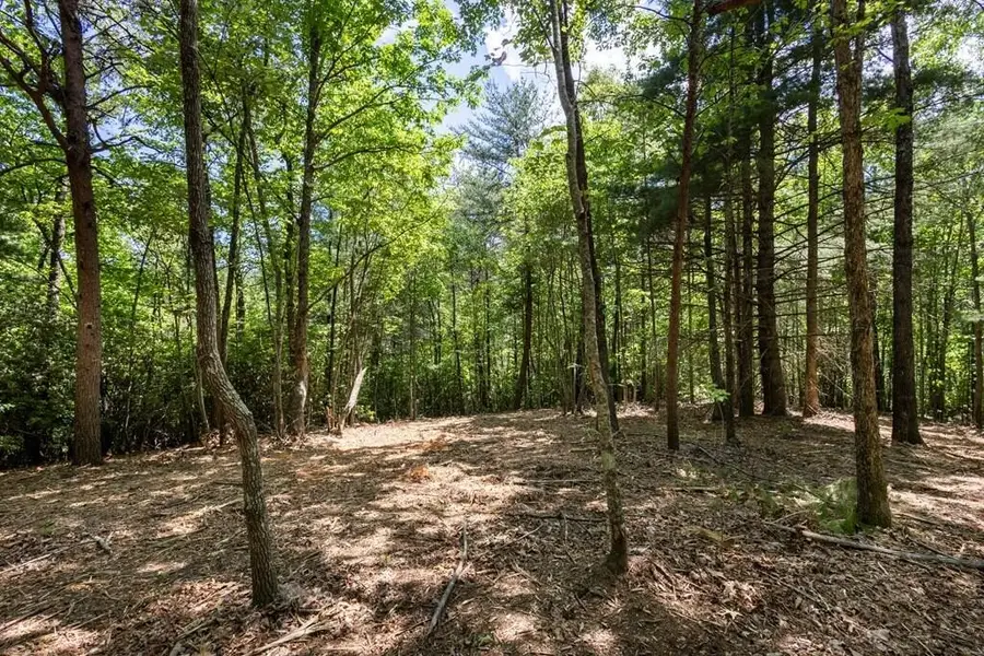 40 Donley Road, Murphy, NC 28906 - #2