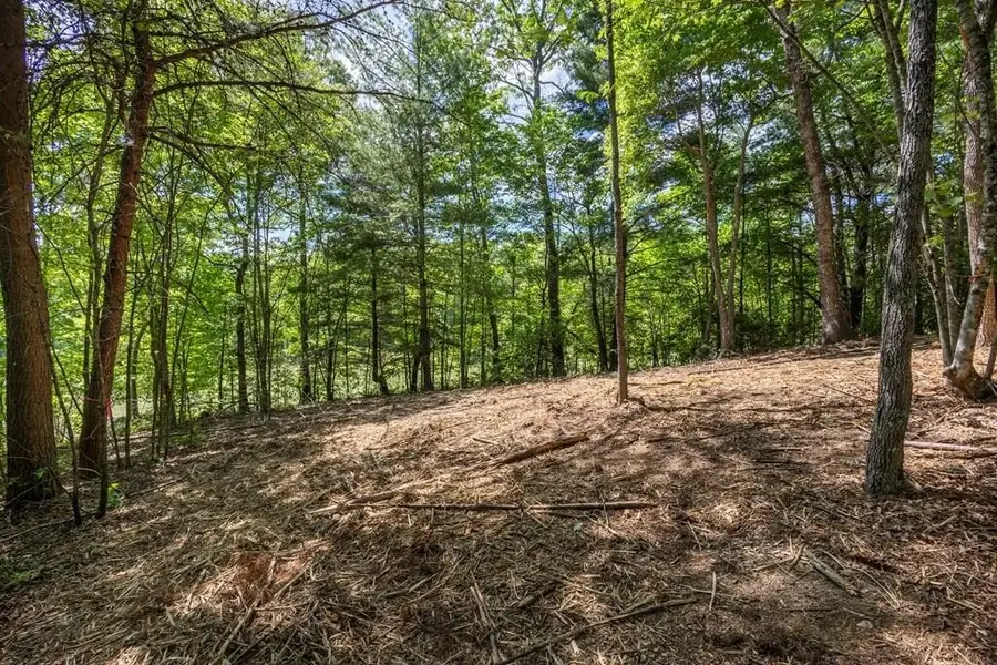 42 Donley Road, Murphy, NC 28906 - #3