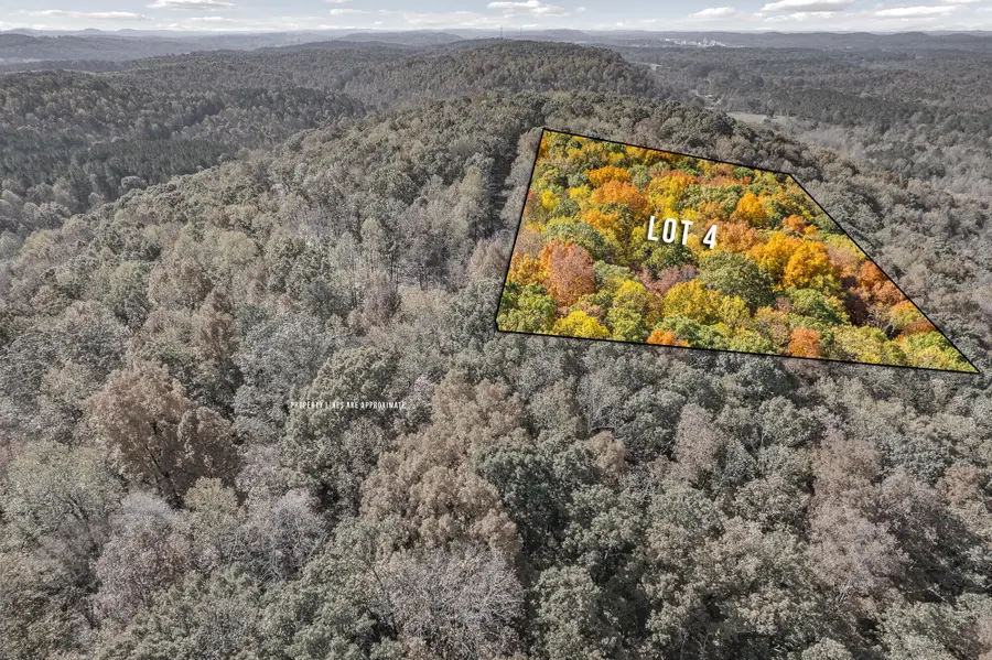 7 County Road 29, Riceville, TN 37370 - #3