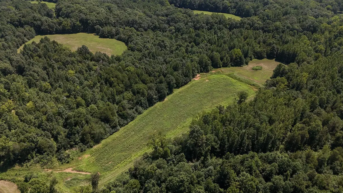 0 Hwy 69s, Paris, TN 38242 - #1