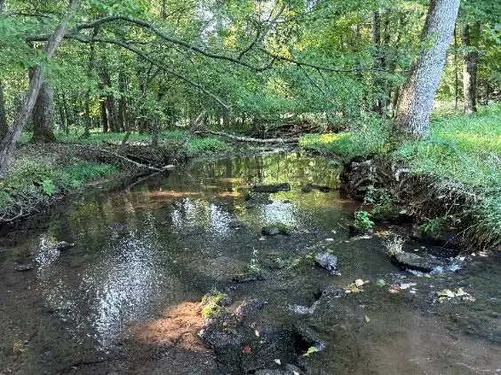 0 Brown Road, Bon Aqua, TN 37025 - #1
