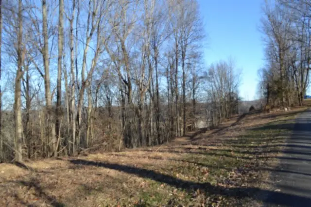 0 Cabin Hill Rd, Celina, TN 38551 - #3