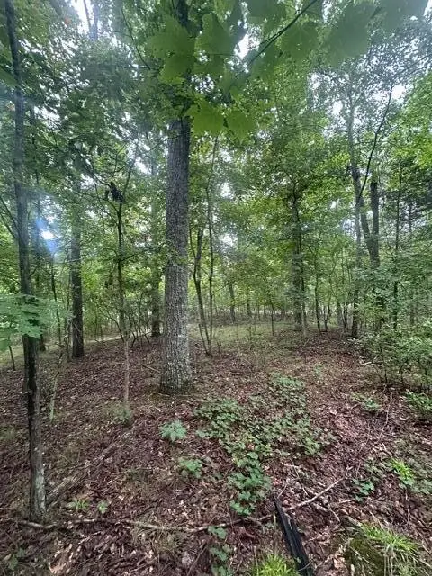 108 Chesadu Circle Circle, South Pittsburg, TN 37380