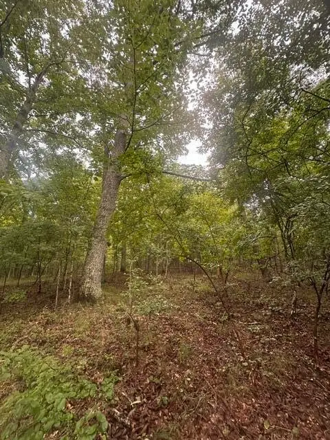 108 Chesadu Circle Circle, South Pittsburg, TN 37380 - #2