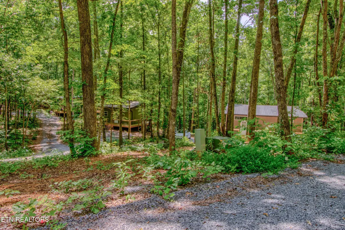 8668 Lakeshore Drive, Rutledge, TN 37861 - #1