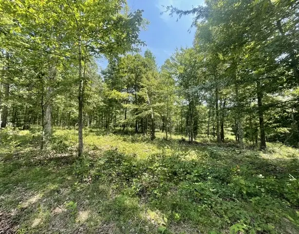 0 Hillcrest Road, Waverly, TN 37185 - #1