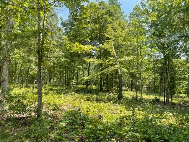 0 Hillcrest Road, Waverly, TN 37185 - #3