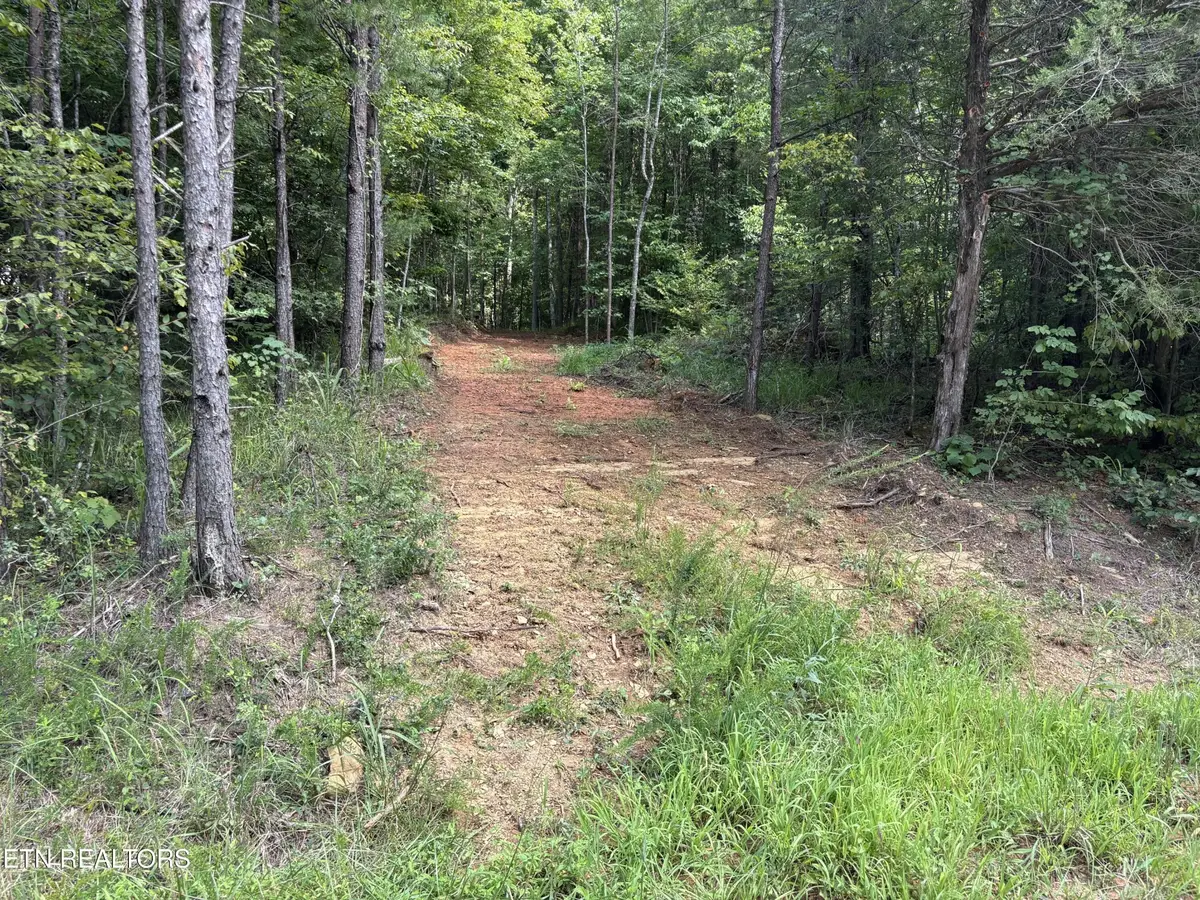 130 Tellico Camp Rd, Madisonville, TN 37354 - #1
