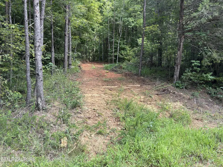 130 Tellico Camp Rd, Madisonville, TN 37354 - #2
