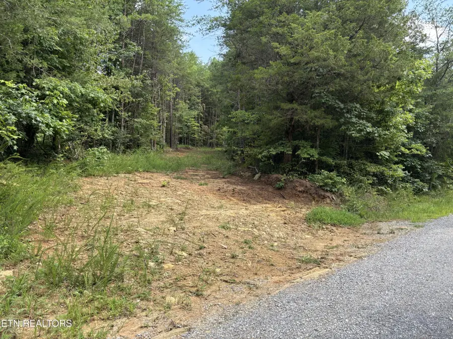 130 Tellico Camp Rd, Madisonville, TN 37354 - #3