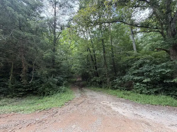 15 Forge Hideaway Road, Pigeon Forge, TN 37863