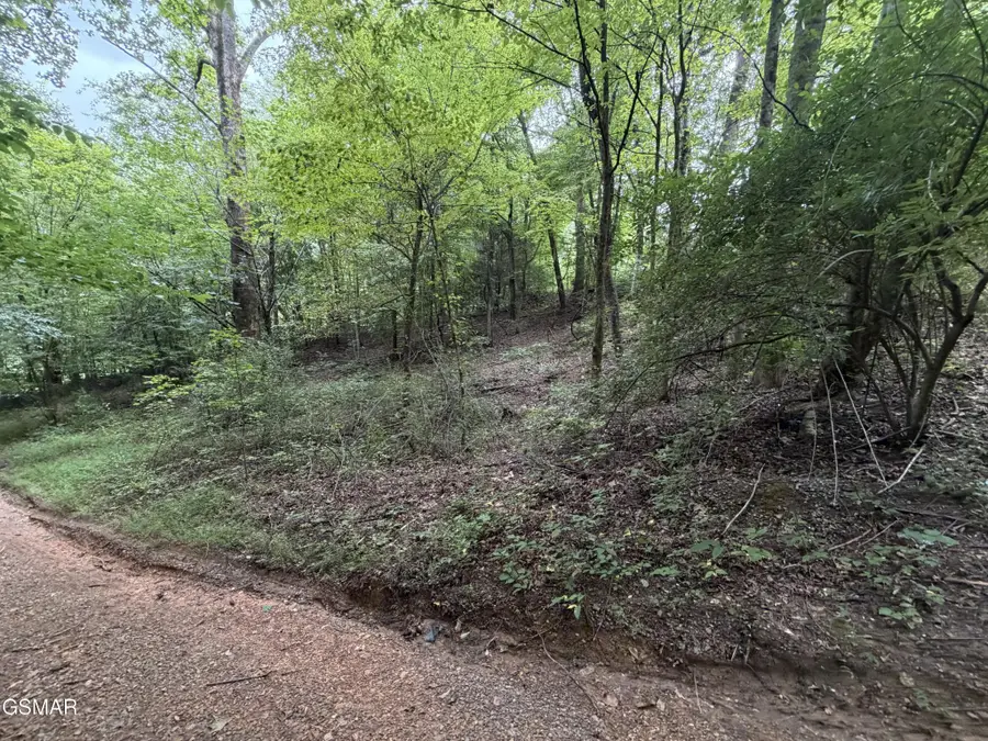 0 Forge Hideaway Road, Pigeon Forge, TN 37863 - #2