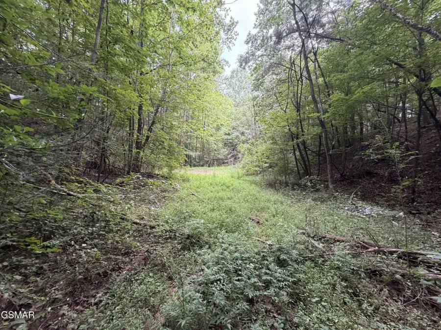 0 Forge Hideaway Road, Pigeon Forge, TN 37863 - #3
