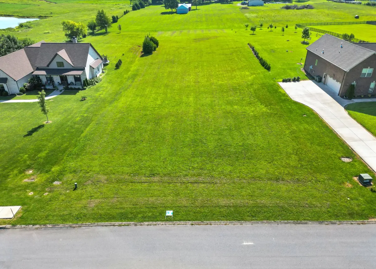 136A Wind Wood Dr, Portland, TN 37148 - #1