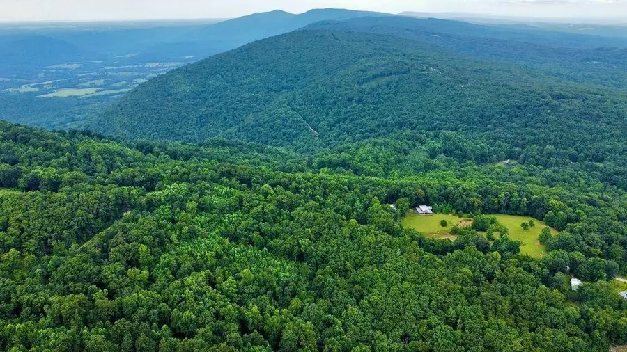 185 Raccoon Ridge, Spring City, TN 37381 - #2