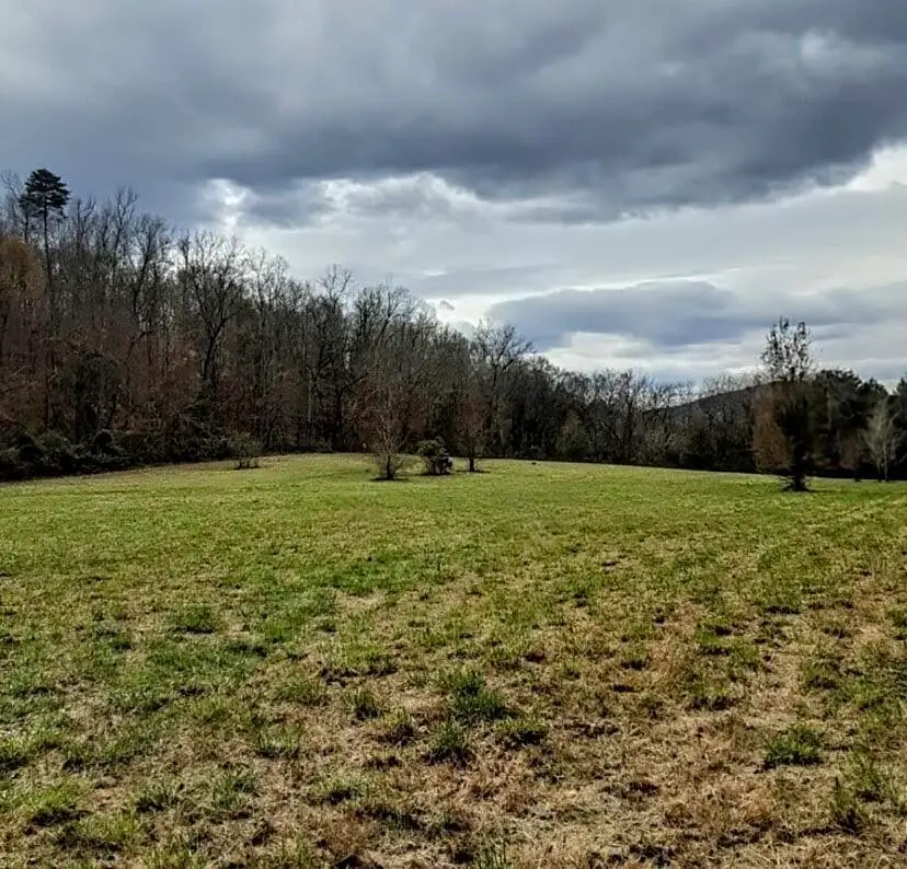 0 Hills Creek Rd, McMinnville, TN 37110 - #1