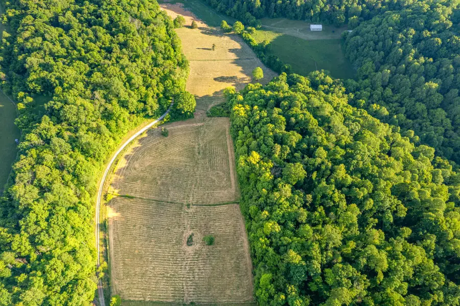 6 Young Rd, Pulaski, TN 38478 - #2
