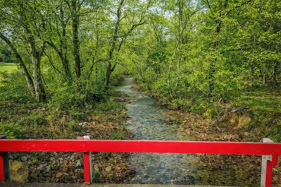 1783 Agnew Rd, Pulaski, TN 38478 - #3