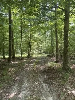 0 Old Union Church Road, Holladay, TN 38341