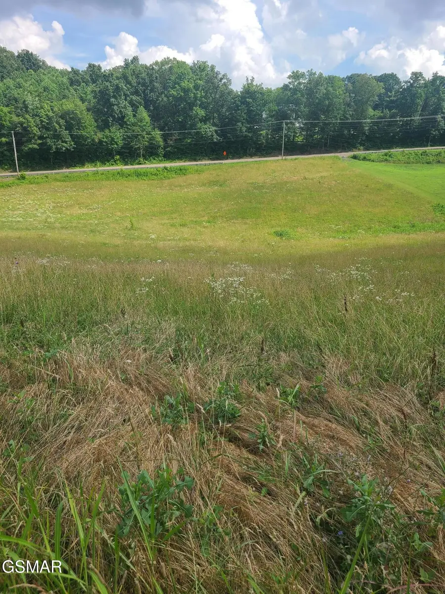 213 Washita Lane, Rutledge, TN 37861 - #2