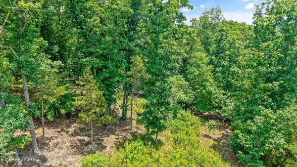 1499 Dogwood Valley Rd, Kingston, TN 37763