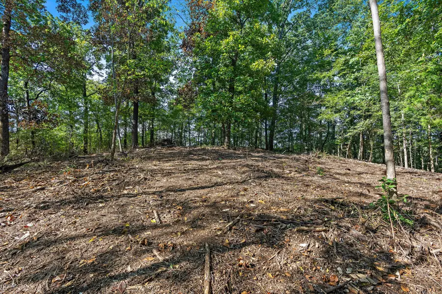 5535 Old Hickory Blvd, Nashville, TN 37218 - #2