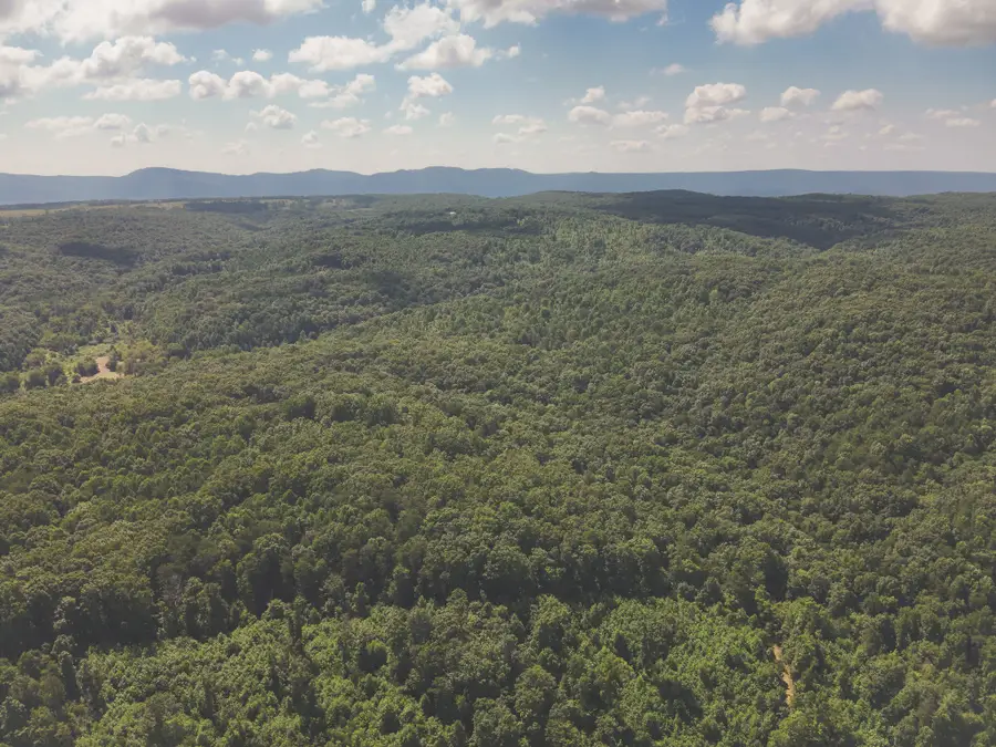 0 Grapevine Road, Crossville, TN 38572 - #2