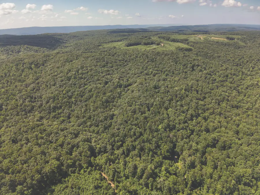 0 Grapevine Road, Crossville, TN 38572 - #3