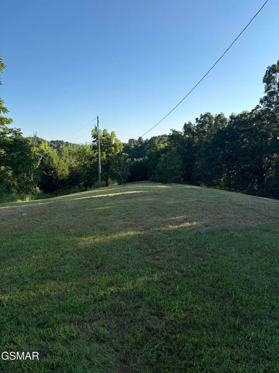 125 Picadilly Way, Parrottsville, TN 37843 - #2