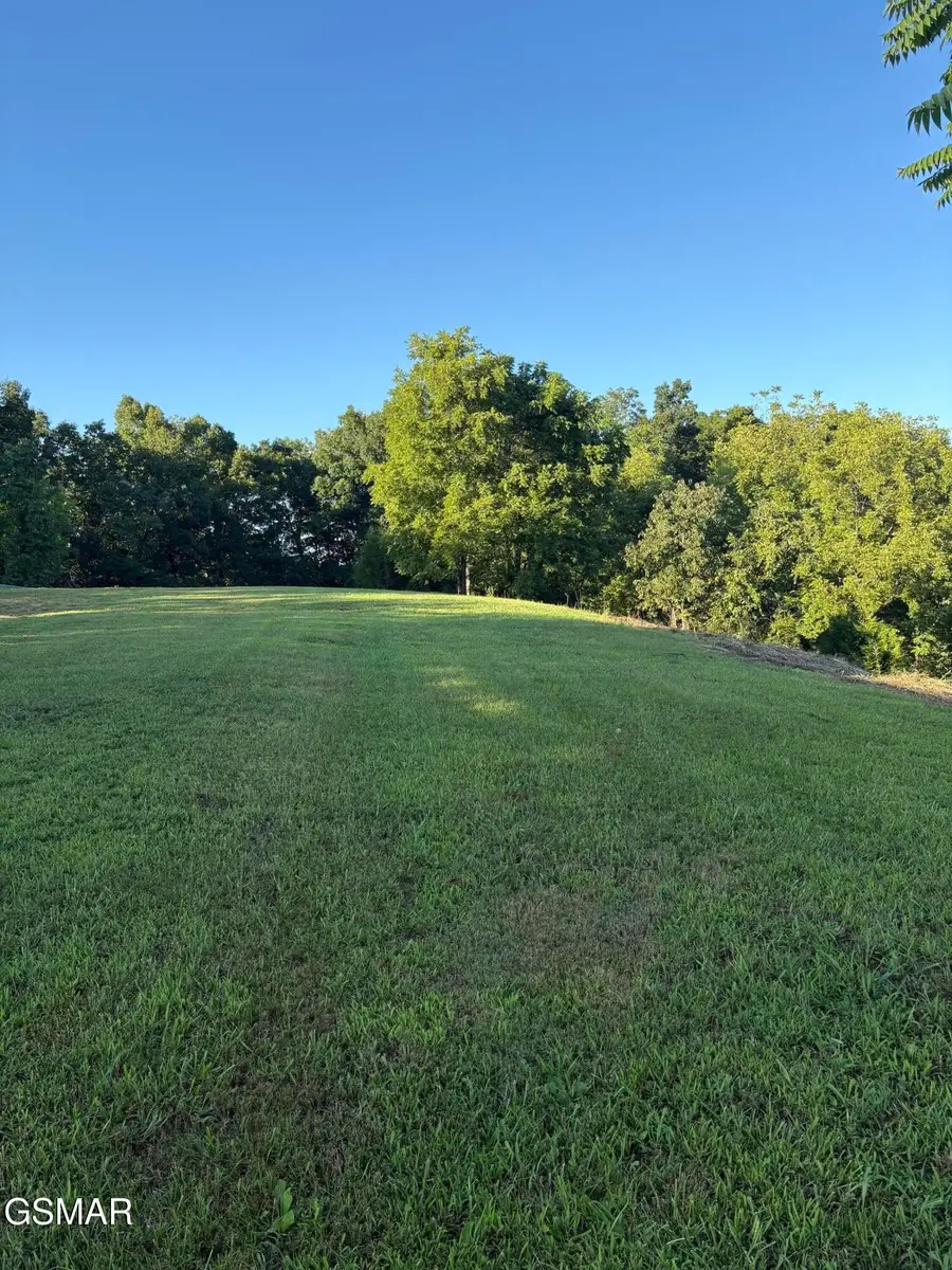 125 Picadilly Way, Parrottsville, TN 37843 - #3