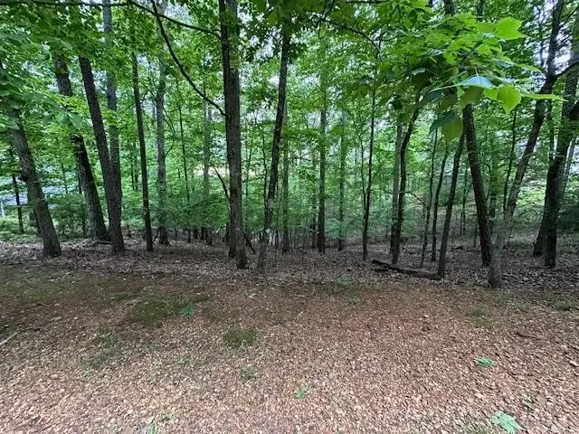 0 Anderson Hollow Rd, Savannah, TN 38372 - #3