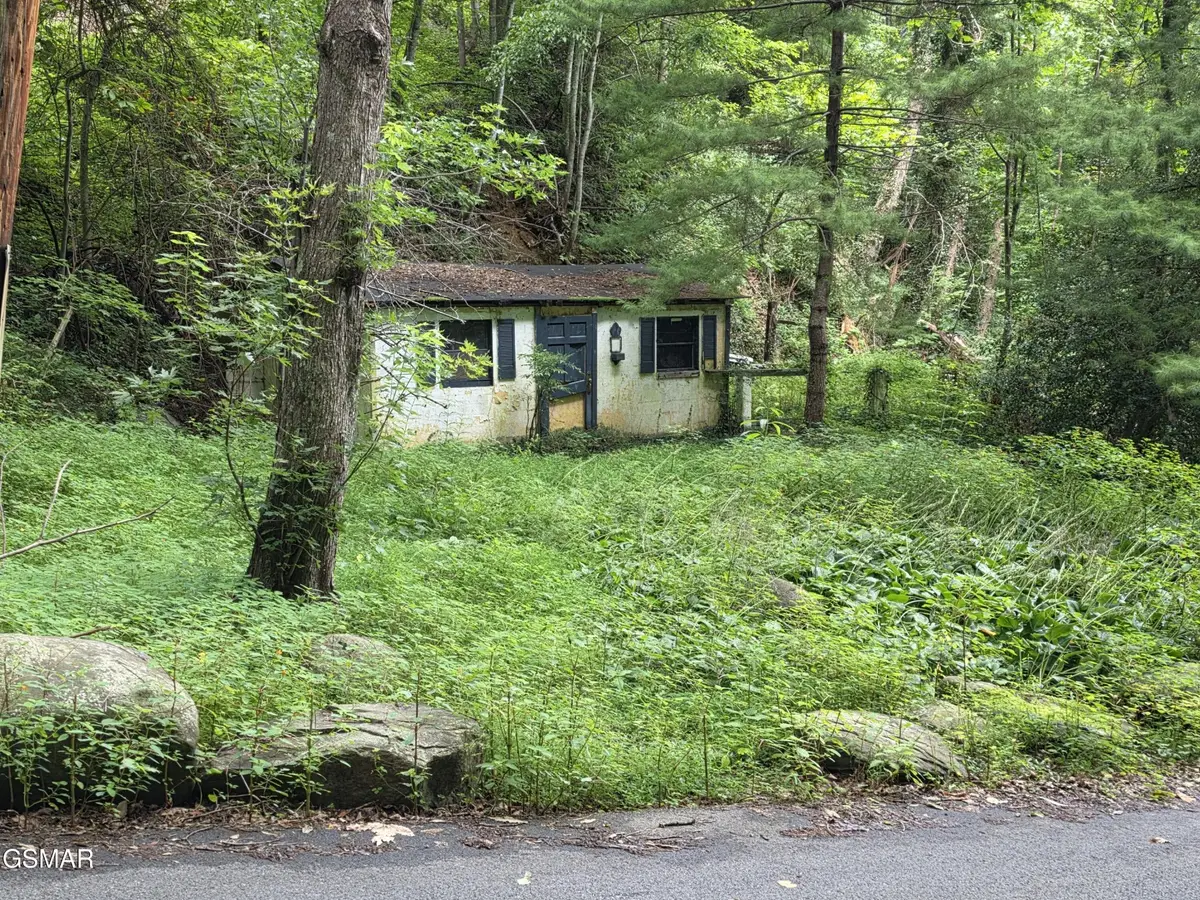 822 Heiden Drive, Gatlinburg, TN 37738 - #1