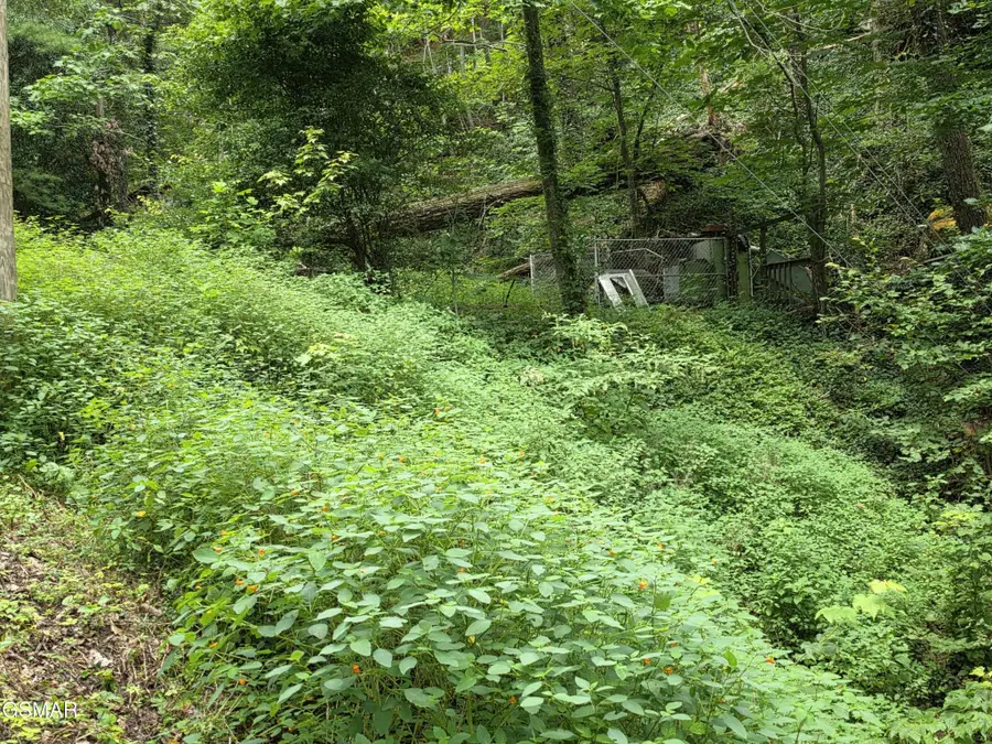 822 Heiden Drive, Gatlinburg, TN 37738 - #3