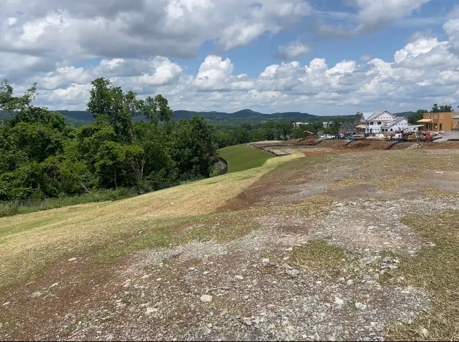 157 Berry Hunter Lane, Franklin, TN 37067 - #3