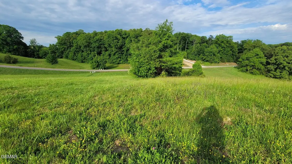 41 Shiloh Springs Road, Rutledge, TN 37861 - #1