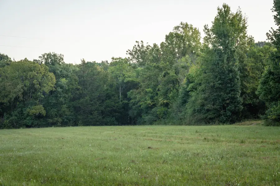 0 Choctaw Road, College Grove, TN 37046 - #2