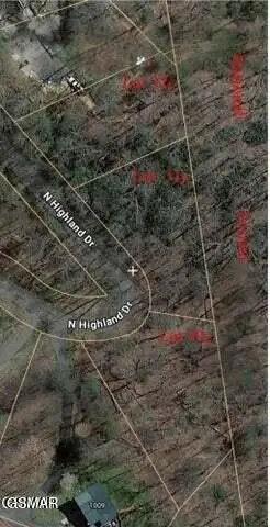 303132 N Highland Drive, Gatlinburg, TN 37738 - #3