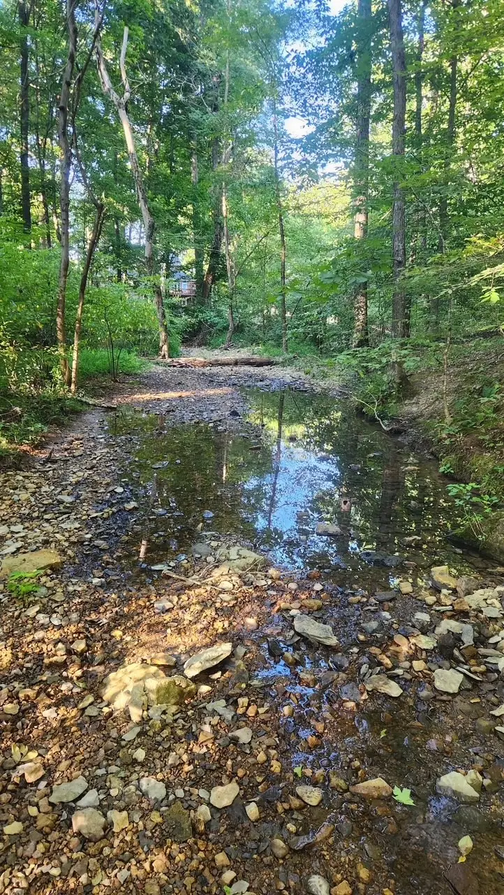 175B Mitchell Rd, Portland, TN 37148 - #3