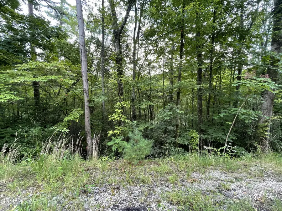 5 Stepping Stone Drive, Sevierville, TN 37862 - #3