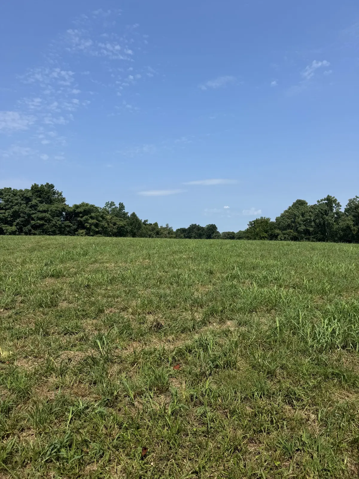 0 Ivy Lane, Red Boiling Springs, TN 37150 - #1