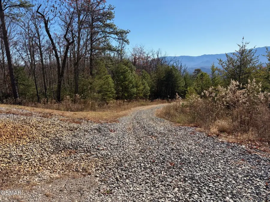 0 Mountain Ash Way, Sevierville, TN 37876 - #2