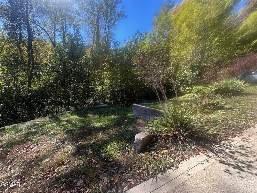 3143 Sourwood Way, Sevierville, TN 37862 - #2