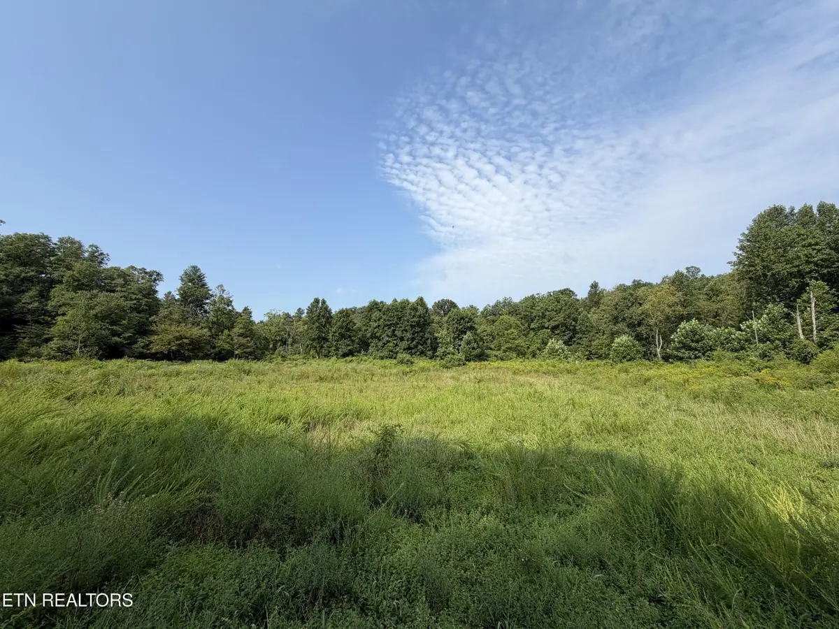 14030 Skull Creek Rd, Robbins, TN 37852 - #1