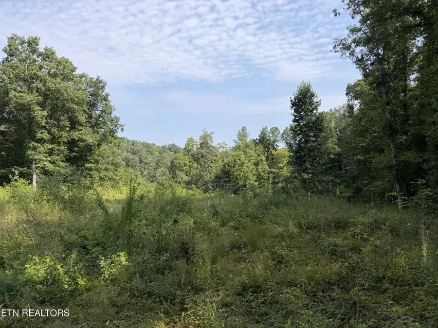 14030 Skull Creek Rd, Robbins, TN 37852 - #2