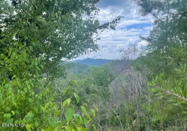 0 River Birch Way, Sevierville, TN 37862