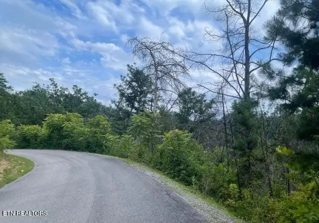 0 River Birch Way, Sevierville, TN 37862 - #2